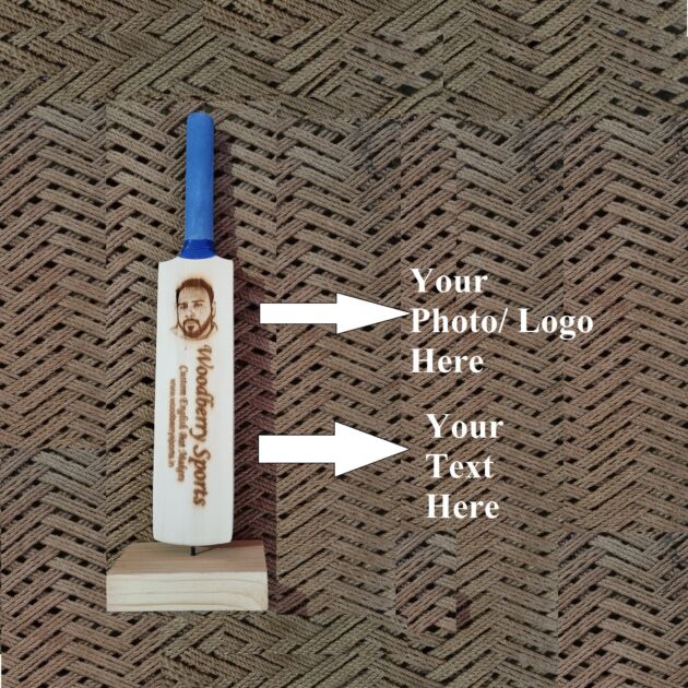 Mini Cricket Bat